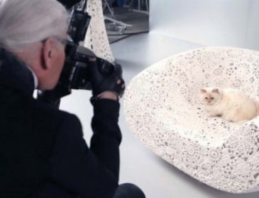 Звичайна кішка Карла Лагерфельда заробила $3 млн (фото)