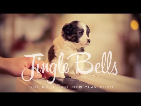 З’явилося наймиліше та найзворушливіше виконання Jingle Bells (ВІДЕО)