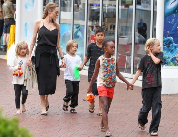 Анджеліна Джолі зняла особняк в Малібу для себе і дітей до розлучення з Піттом (фото)