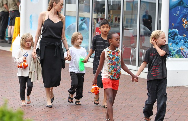 Анджеліна Джолі зняла особняк в Малібу для себе і дітей до розлучення з Піттом (фото)