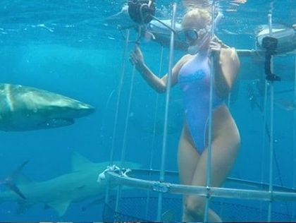 ТЕРМІНОВО!!! Відому акторку вкусила акула! Просто під час зйомок ! Шокуюче відео!